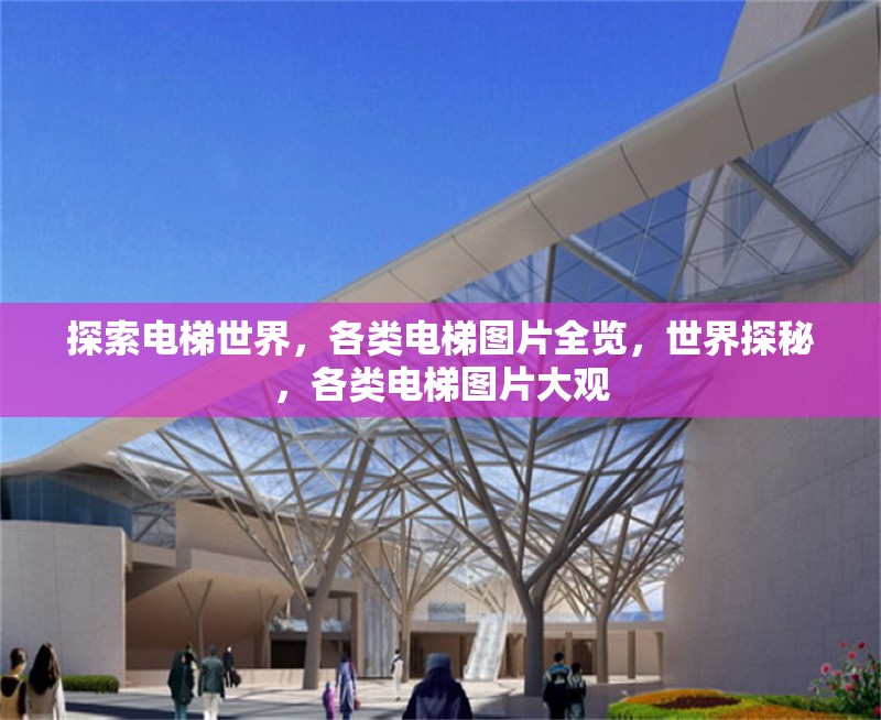 探索電梯世界，各類電梯圖片全覽，世界探秘，各類電梯圖片大觀